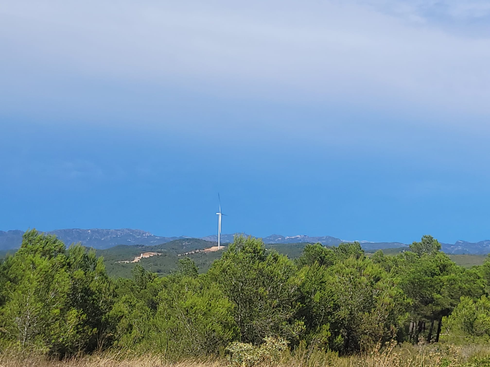 WhatsApp Image 2026-03-23 at 8.48.22 PM (1).jpeg